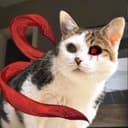 Аватар -Xen0ne