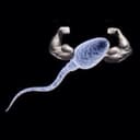 Аватар CEM9_SAMCA