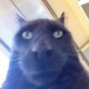 Аватар MenyaNET